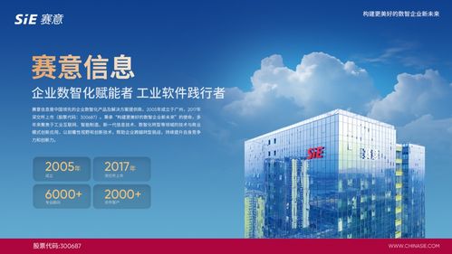 賽意信息入選2024行業(yè)軟件企業(yè)活力與服務(wù)力Top30，彰顯北京信息技術(shù)咨詢(xún)服務(wù)實(shí)力