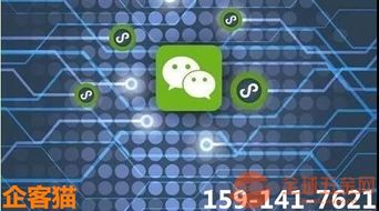 深圳微信小程序開(kāi)發(fā),深小程序定制,企客貓小程序公司